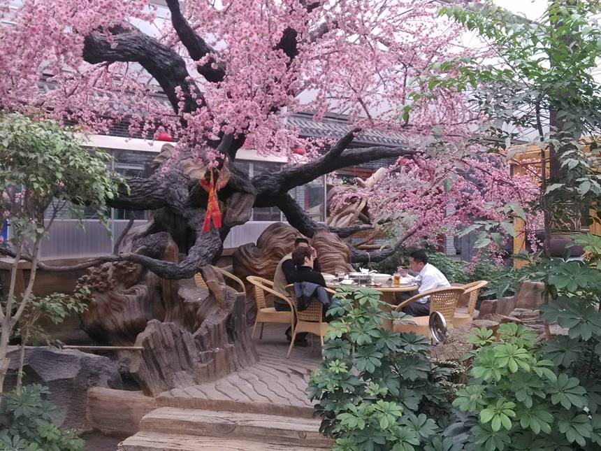 全樹(shù)脂仿真樹(shù)