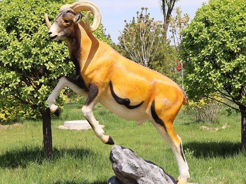 1719459648370308.jpg 6.jpg