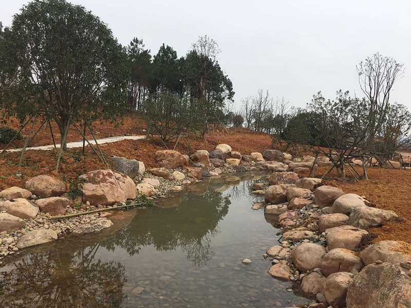 1720092912130134.jpg 2.jpg