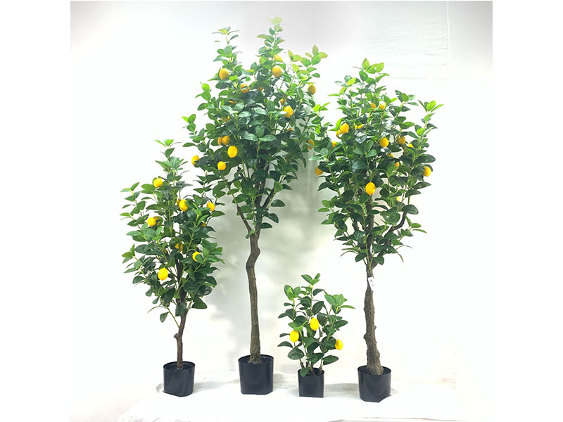 仿真檸檬樹(shù)